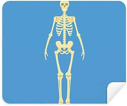 גוף אדם איור עצם קדמי ניקוי בד מסך מנקה 2 יחידות זמש בד