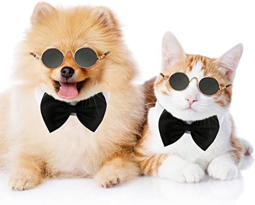 6 חתיכות מצחיק חמוד חתול קטן כלב משקפי שמש קלאסי רטרו מעגלי מתכת נסיך משקפי שמש עין ללבוש תמונות אבזרי אביזרי קוספליי משקפיים