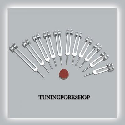 TFS TUNINGFORKSHOP 11 PC COSMIC OCTAVE OCTAVE STORK משוקלל מכוון לריפוי עם מפעיל, כיס,